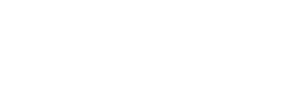 Appic logo